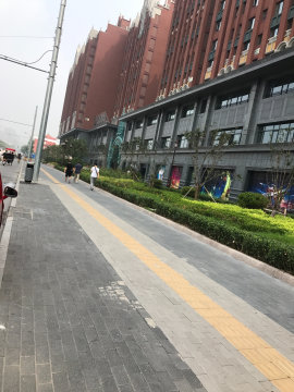 实景图