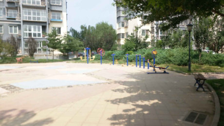 实景图