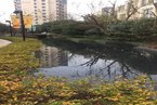 东亚华欣湾72号楼205室
