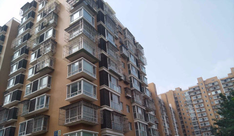 实景图