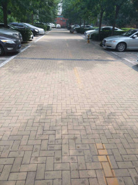 实景图