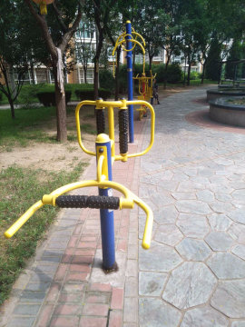 实景图