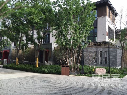 实景图