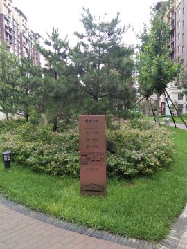 实景图