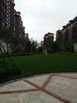 实景图
