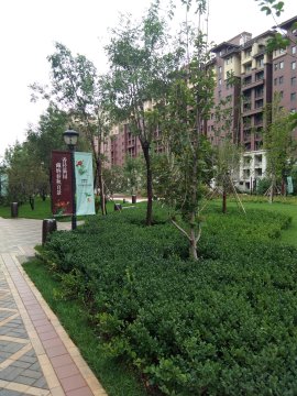 实景图