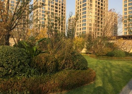 实景图