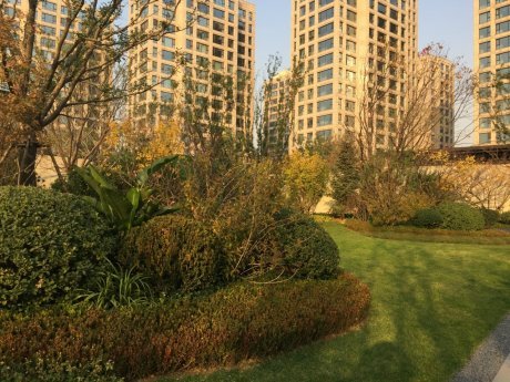 实景图