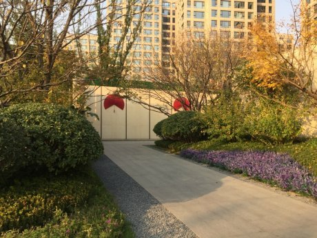 实景图