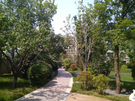 实景图