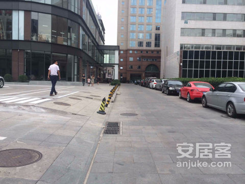 实景图