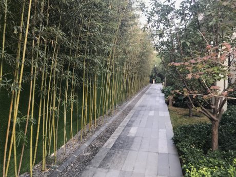 实景图