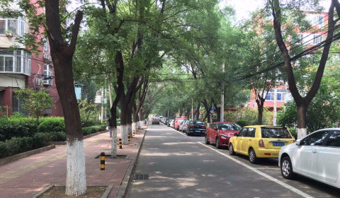 实景图