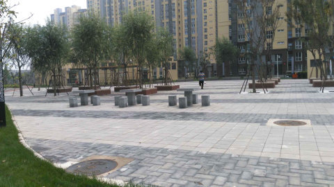 实景图