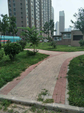 实景图