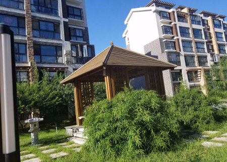 实景图