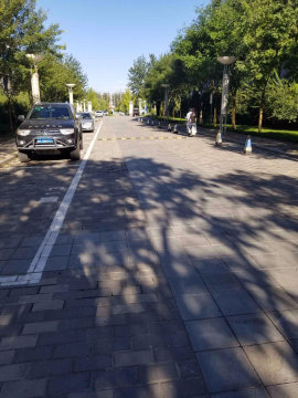 实景图