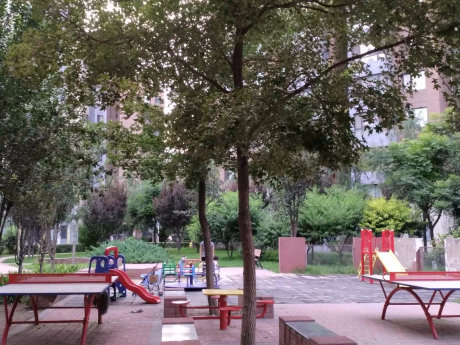 实景图