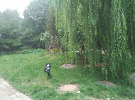 实景图