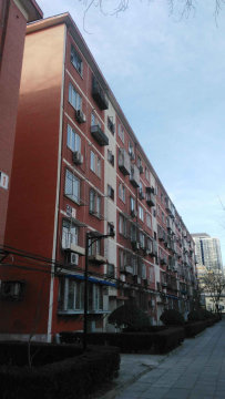 实景图