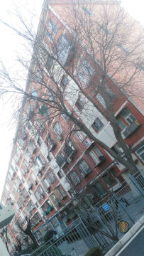 实景图