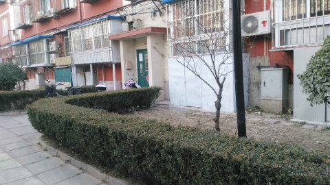 实景图