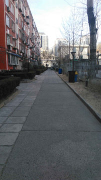 实景图