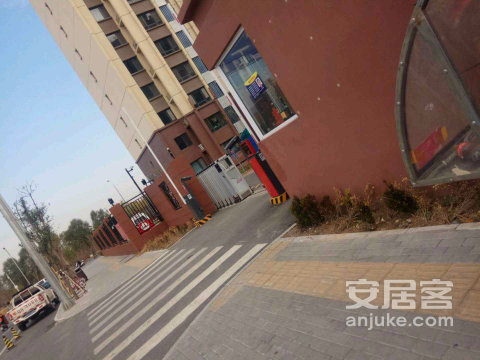 实景图