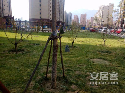 实景图