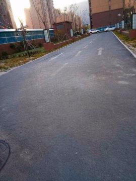 实景图