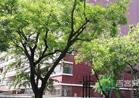 西雅图港6号楼5层605房屋