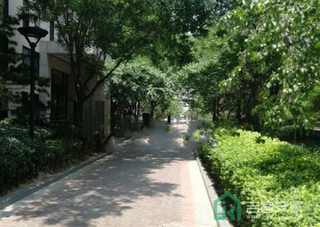 林肯公寓6号楼604