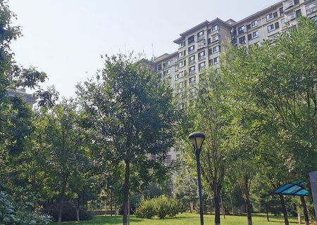 地材宿舍1号楼2门251