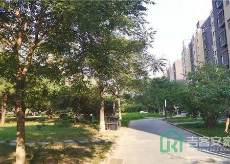 紫金新干线一区8号楼1单元202