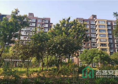 紫金新干线一区8号楼1单元202