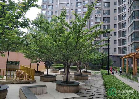 西屋国际C座903号