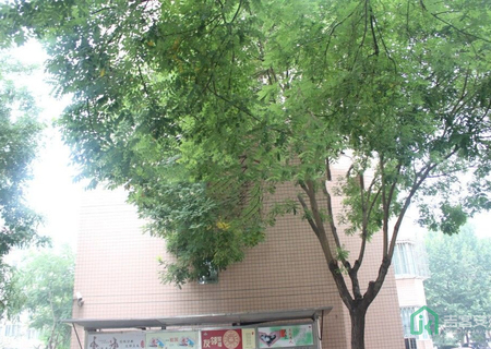 武夷花园水仙园4号楼15单元5B