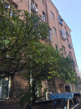 东营中街35号1单元603室（已成交）