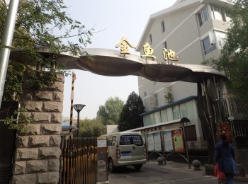 金鱼池中区21号楼4门001号