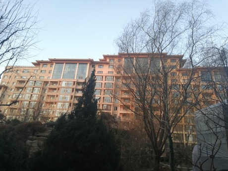 紫御府（紫瑞嘉园）1号楼3单元1101号房（已成交）