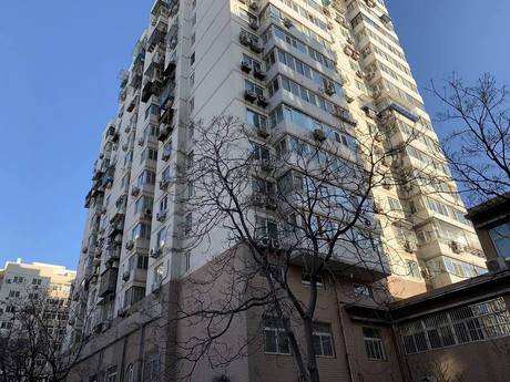 椿树园11号楼415号