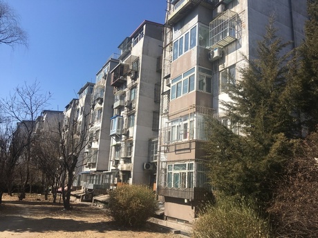 八里庄北里31号楼9门602