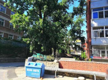 迎风一里15号楼203