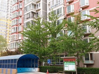 九洲溪雅苑二区11号3单元102