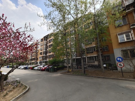 龙博苑一区9号楼4单元302