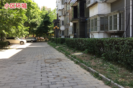 格兰晴天12号楼322