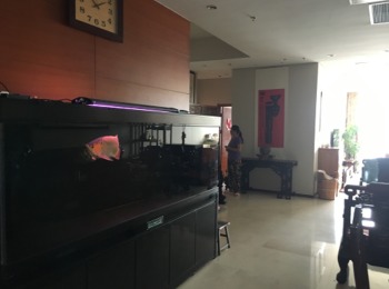 华远九都汇2号楼1单元2302号