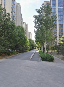 珠江四季悦城9号楼2单元514