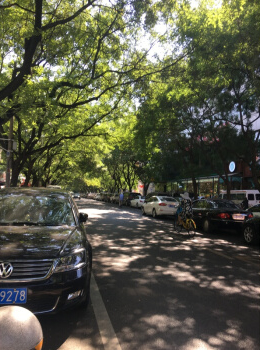 煤炭科技苑小区32号楼1305室