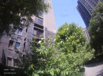 威尔夏大道4号楼B座404房屋